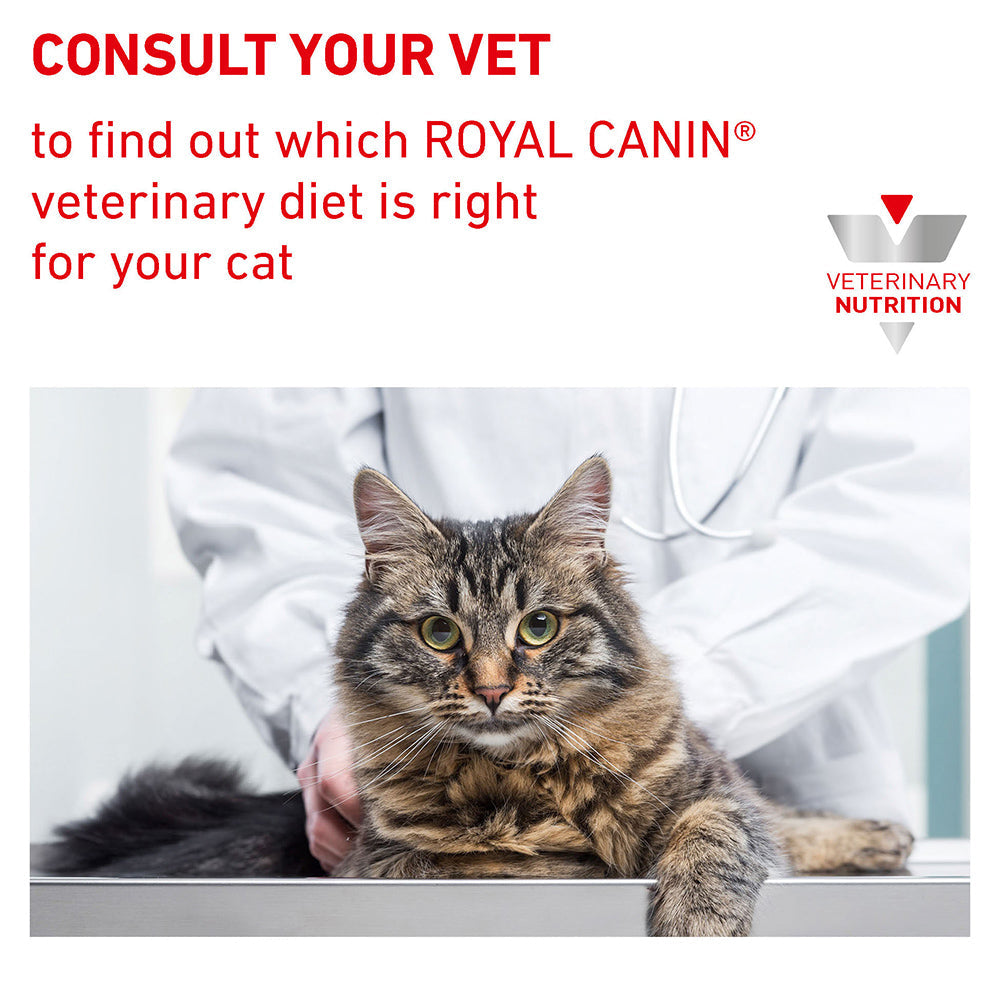 Royal Canin Veterinary Diabetic Wet Cat Food