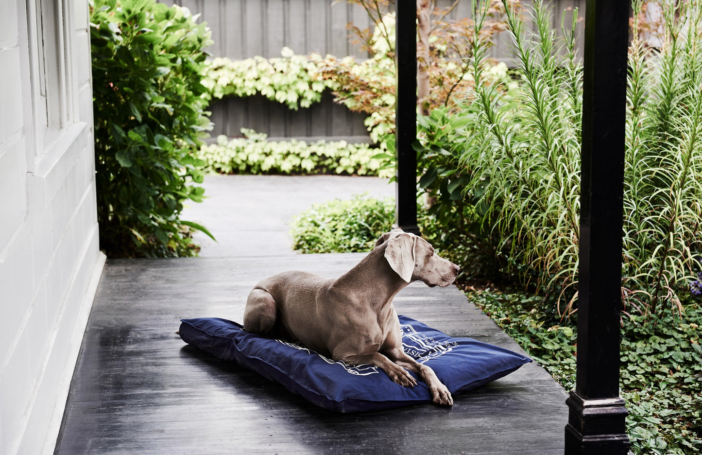 Snooza Organic Pet Futon Mighty Dog Bed