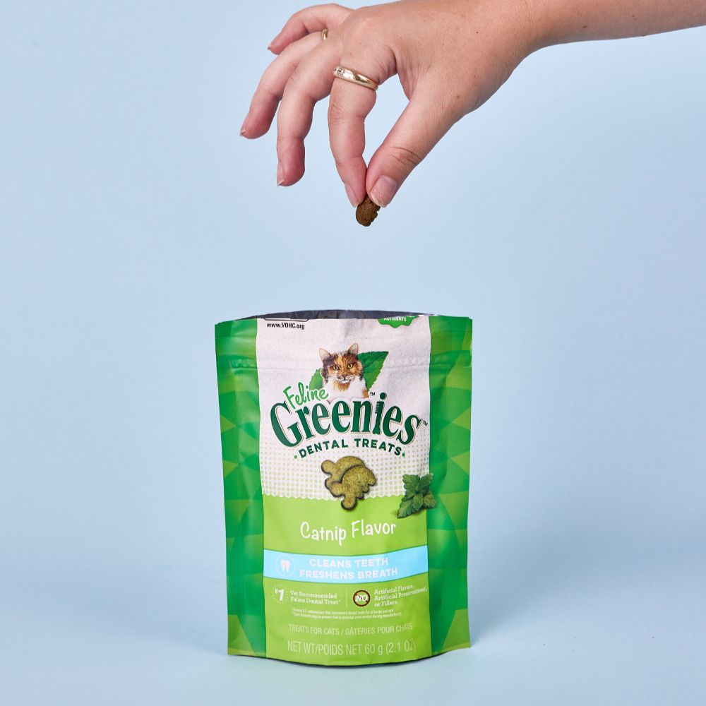 Greenies Catnip Feline Cat Dental Treats