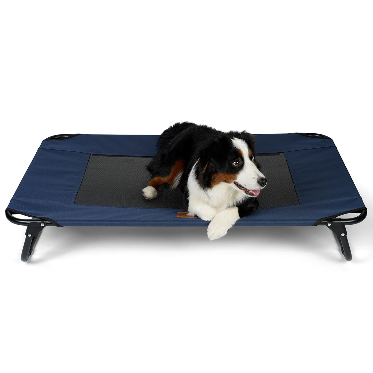 Buddy & Belle Deluxe Raised Outdoor Dog Bed