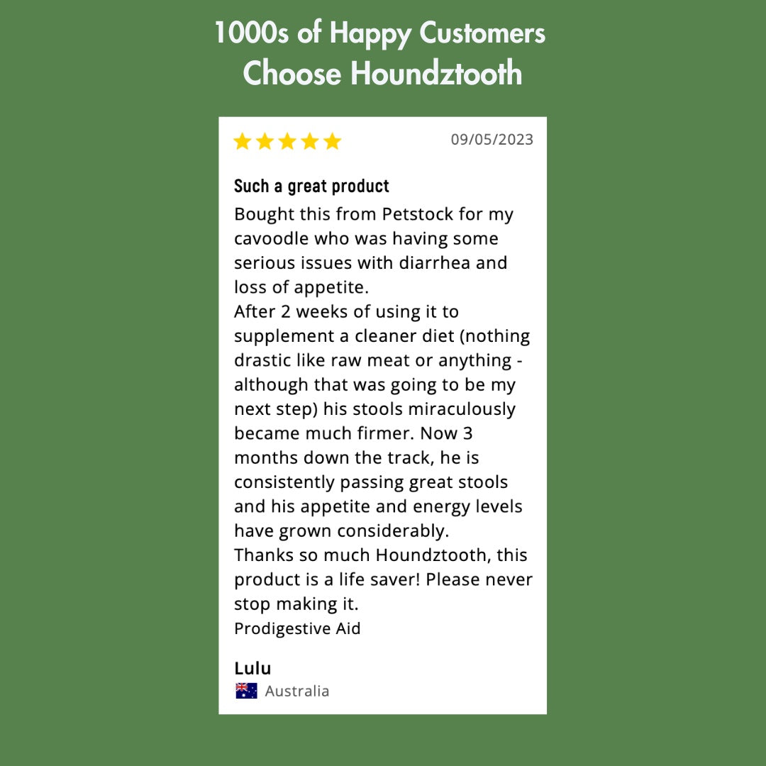 HoundzTooth Prodigestive Aid Dog Supplement