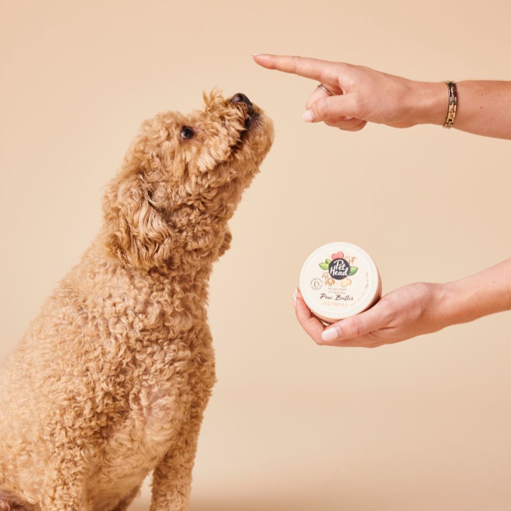 Pet Head Paw Balm Butter for Dogs