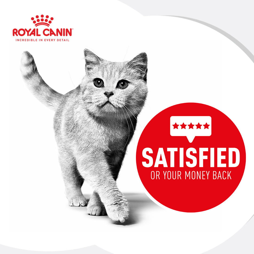 Royal Canin Sensory Taste Chunks in Gravy Wet Cat Food 85G