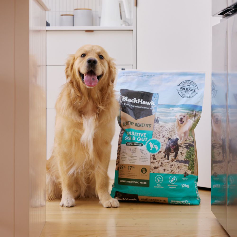 Black Hawk Healthy Benefits Sensitive Gut Dry Dog Food