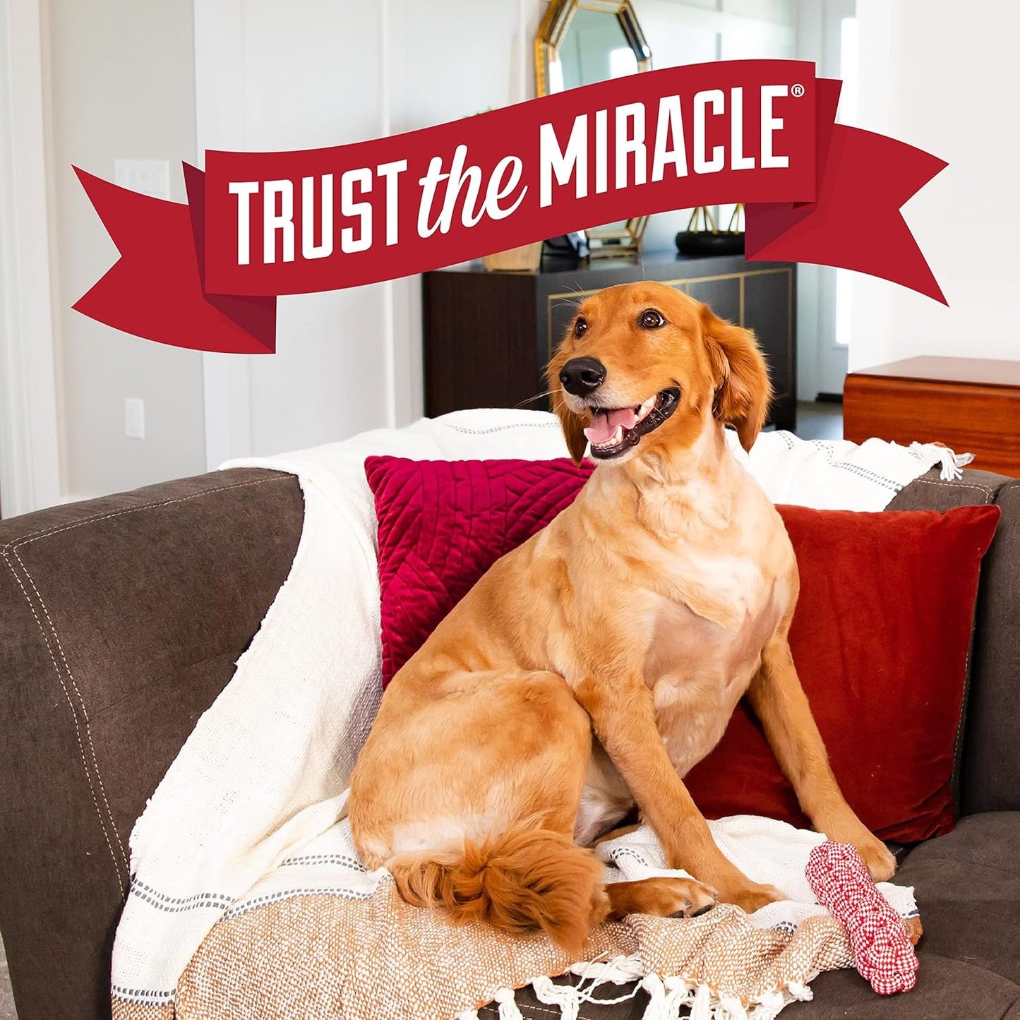 Nature's Miracle Advance Platinum Puppy Potty Training Spray