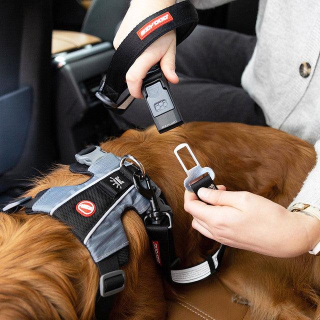EzyDog CLICK Leash Dog Lead 52cm