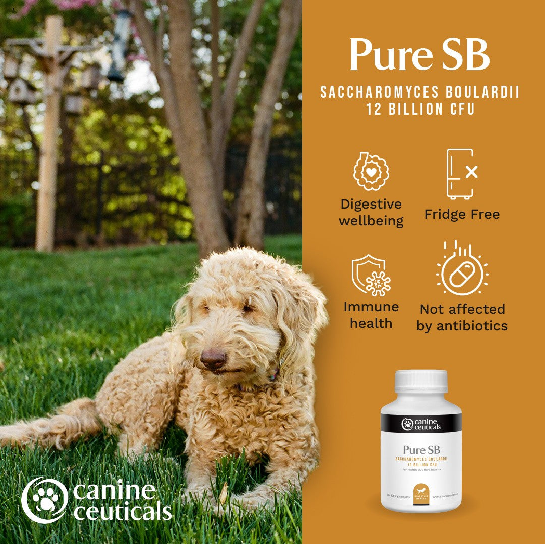 CanineCeuticals Pure SB Dog Supplement Capsules