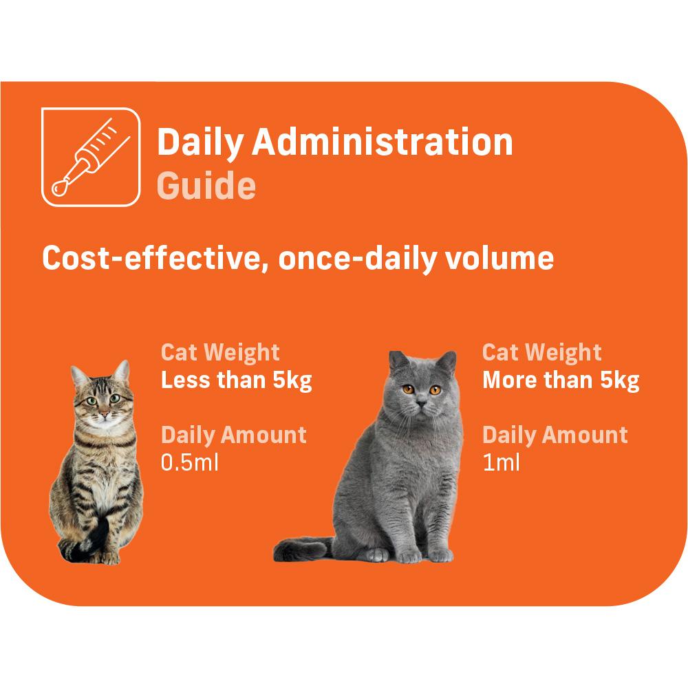 4Cyte Cat Epiitalis Forte Joint Support Supplement Gel