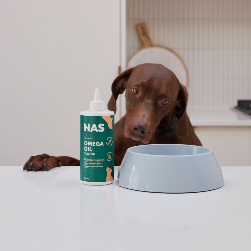 NAS Salmon Omega Oil for Dogs & Cats