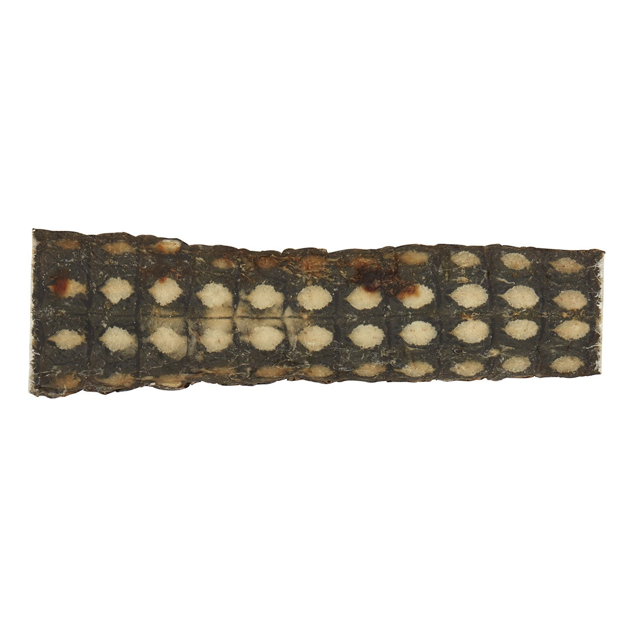 Dog n Bone Crocodile Skin Dog Treat