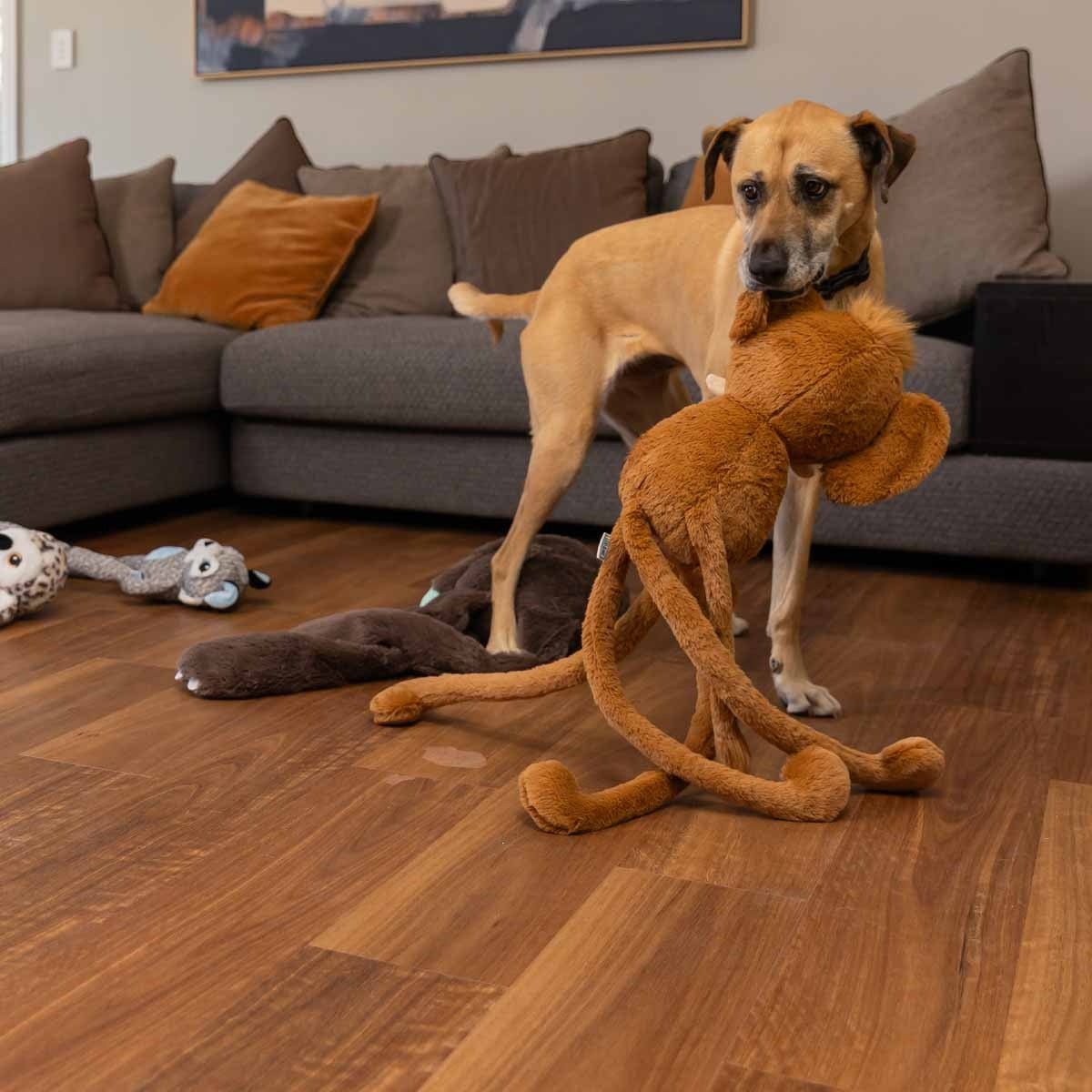 Lexi & Me Long Legged Mammoth Plush Dog Toy