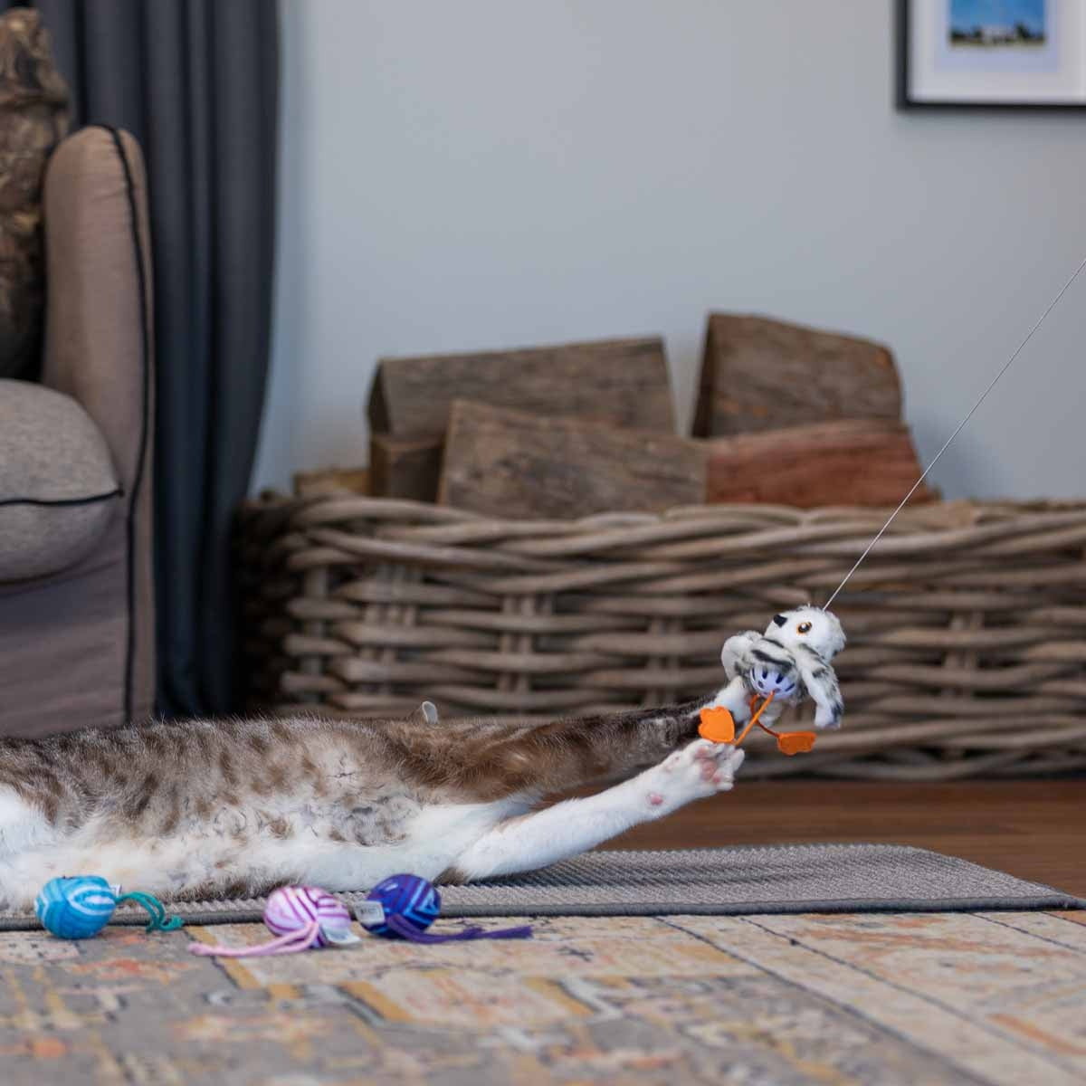 Lexi & Me Owl Cat Teaser Wand Toy