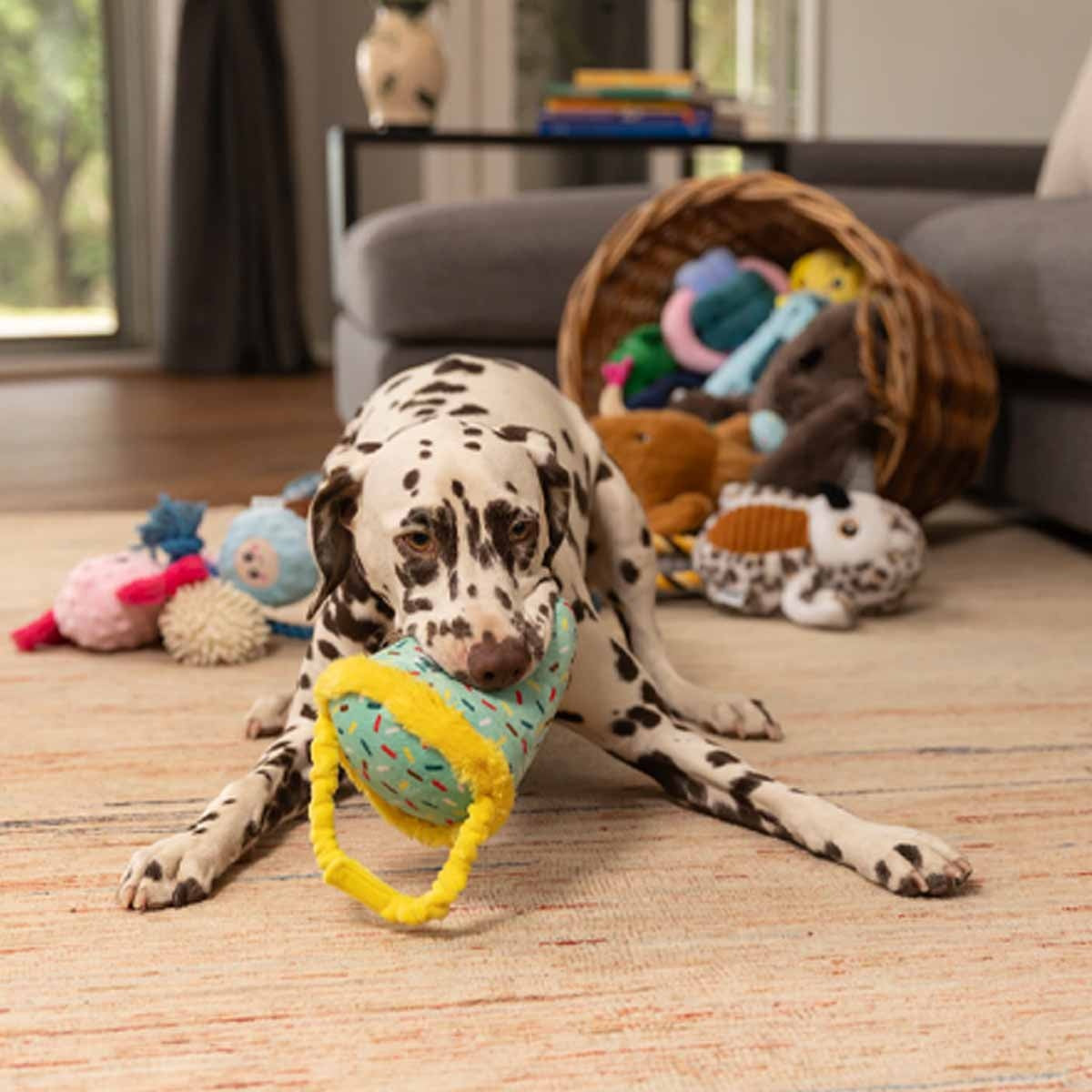 Lexi & Me Party Hat Plush Dog Toy