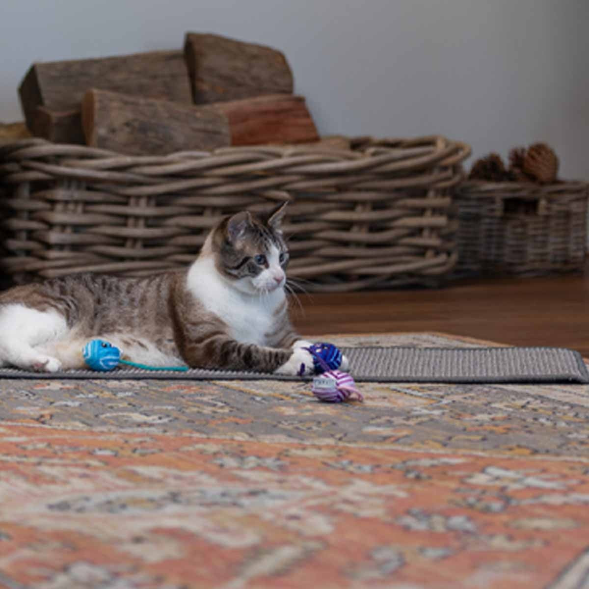 Lexi & Me Yarn Plush Balls Cat Toy