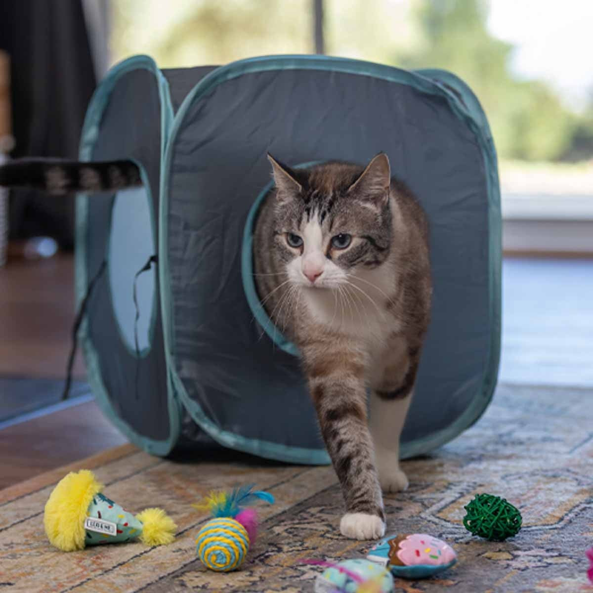 Lexi & Me Pop Up Cat Cube