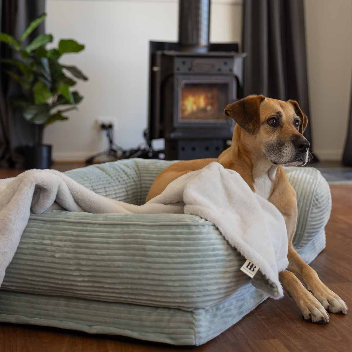 Buddy & Belle Orthopaedic Lounge Dog Bed