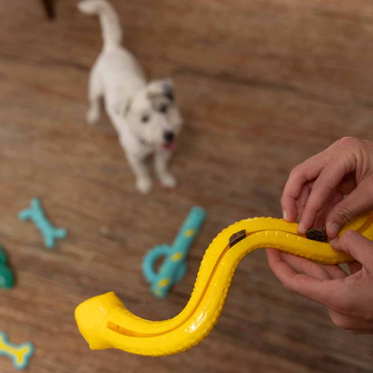 Lexi & Me Snake Rubber Treat Dog Toy