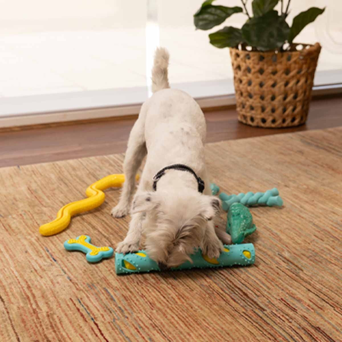 Lexi & Me Dual Stick Rubber Crunch Dog Toy
