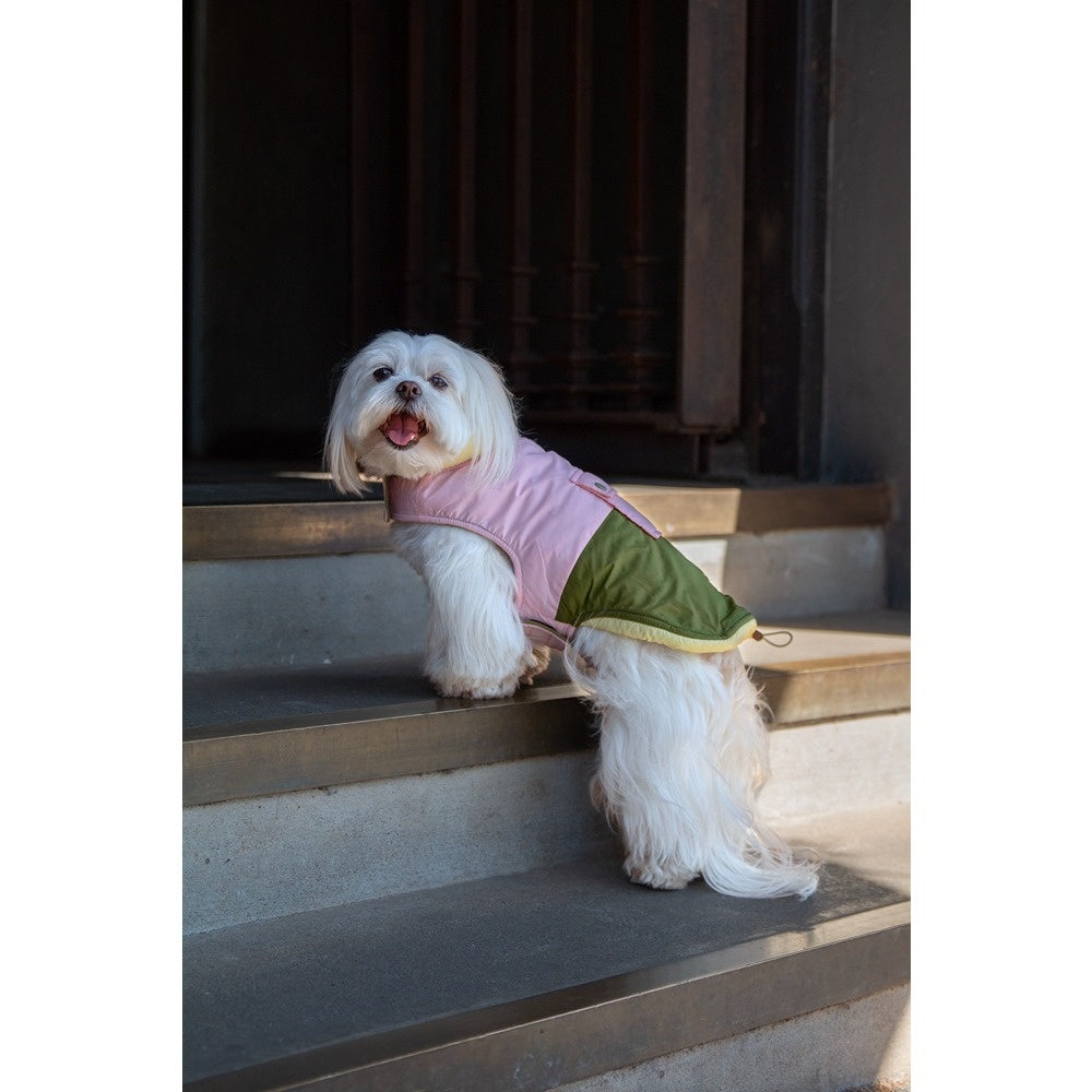 DGG Fashionista Dog Jacket Comeback