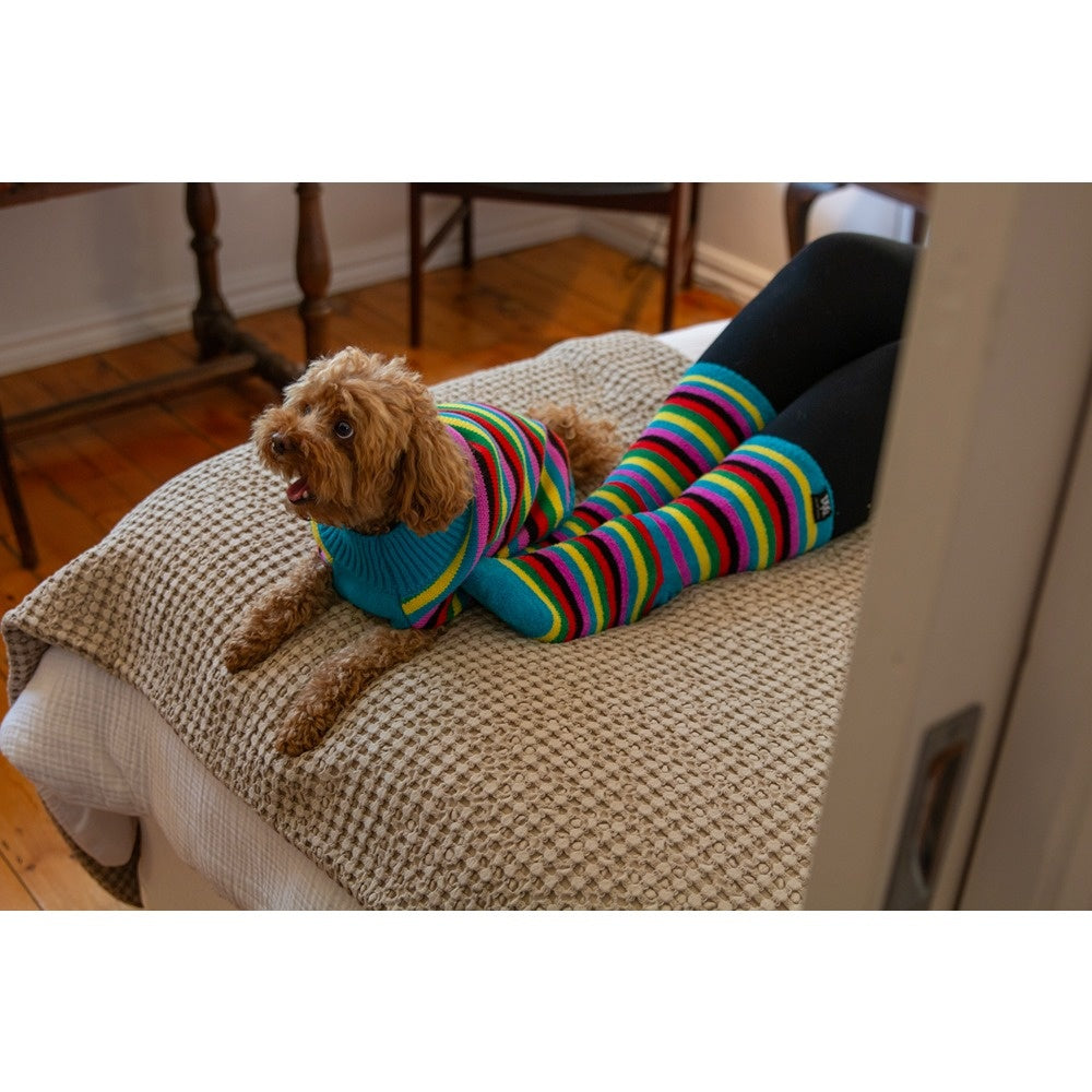 DGG Hooman Bed Socks Rainbow Stripe One Size