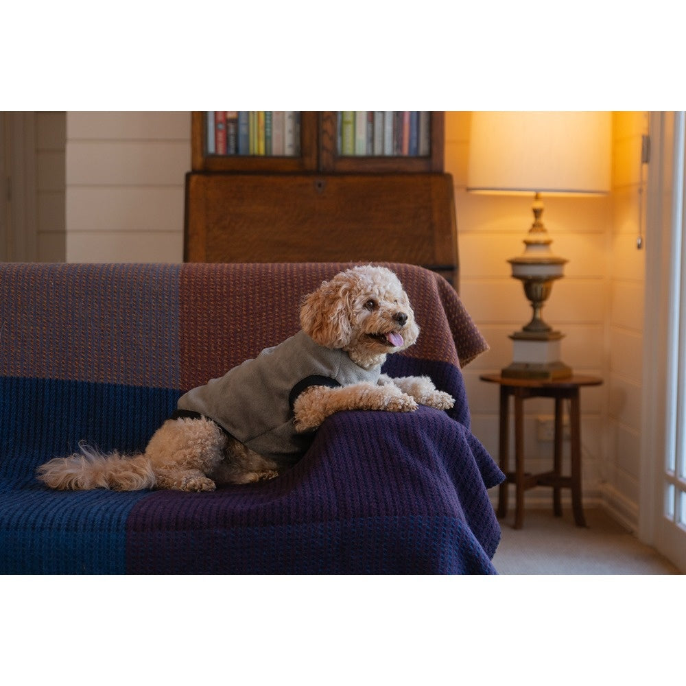 DGG Warmie Dog Jumper Mink