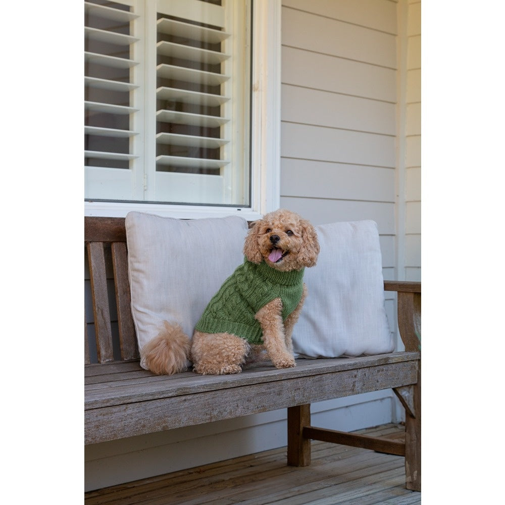 DGG Chunky Knit Dog Jumper Winter Sage