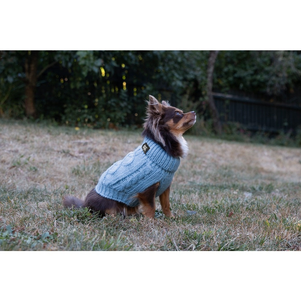 DGG Chunky Knit Dog Jumper Blue
