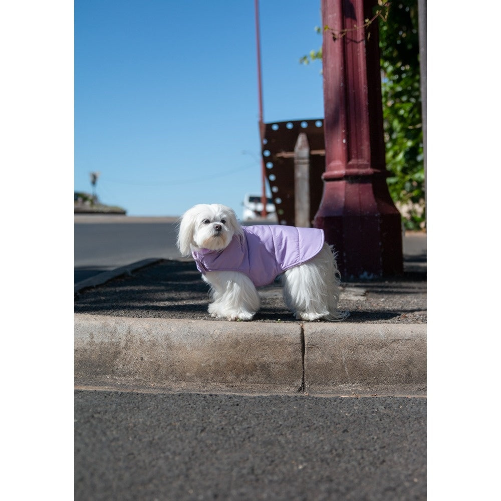 DGG Puffer Dog Jumper Lilac