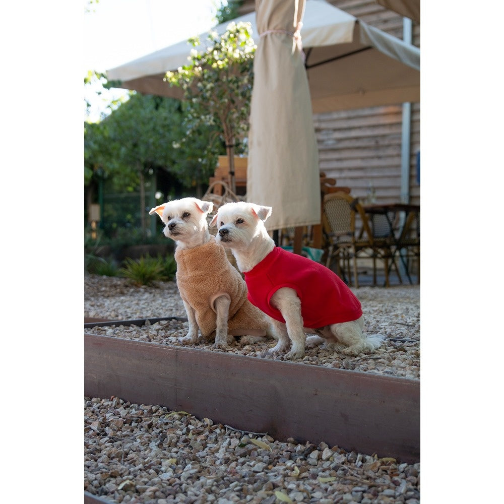 DGG Jersey Huggie Dog Jumper Red