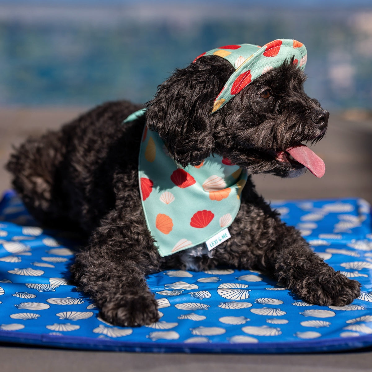 Lexi & Me Dog Shell Bucket Hat