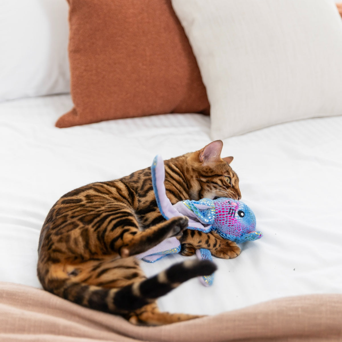 Lexi & Me Crinkle Catopus
