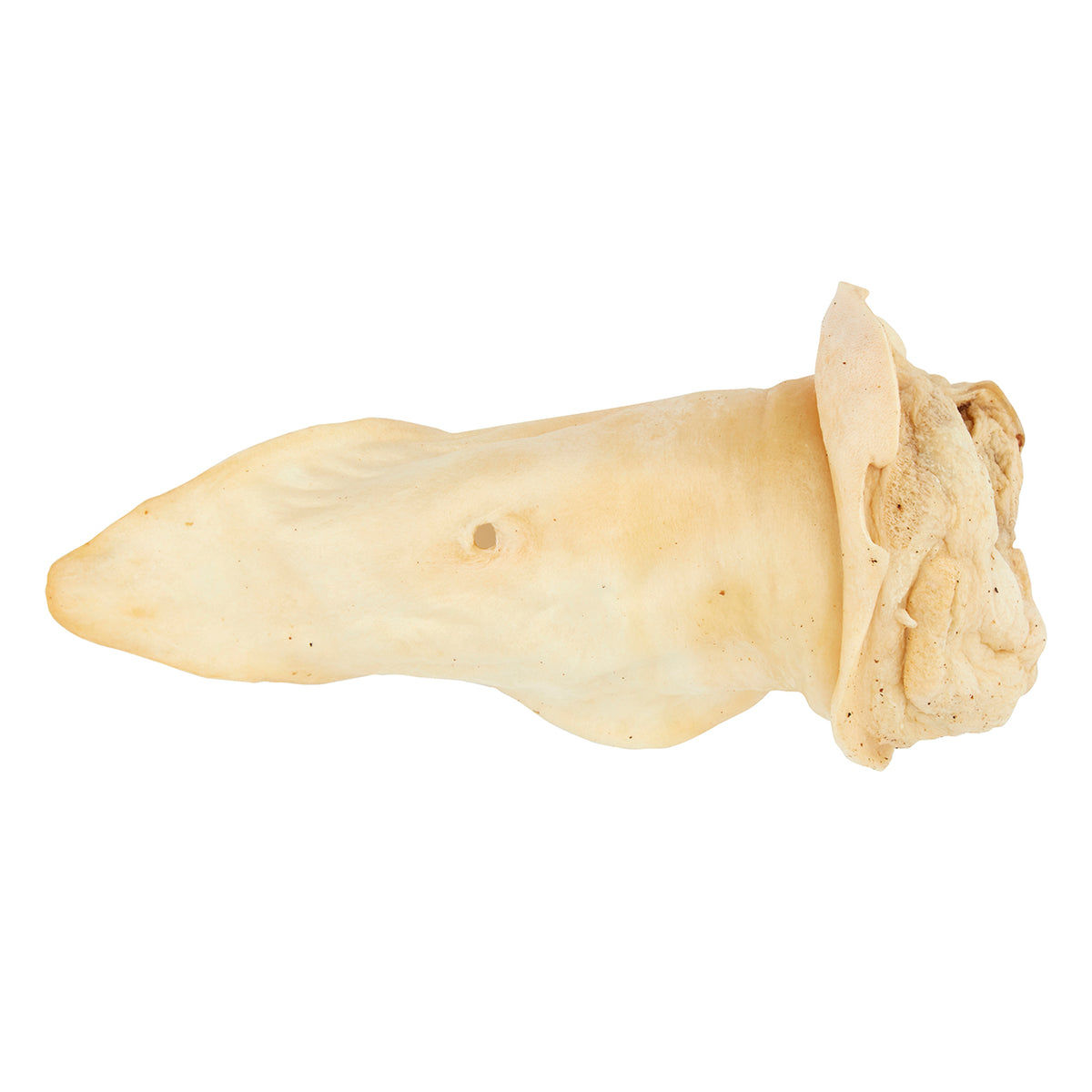 Dog n Bone Venison Ear Dog Treat