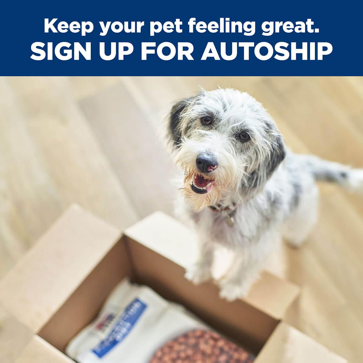 Hill's Prescription Diet I/D Digestive Care Chicken & Vegetable Stew Wet Dog Food