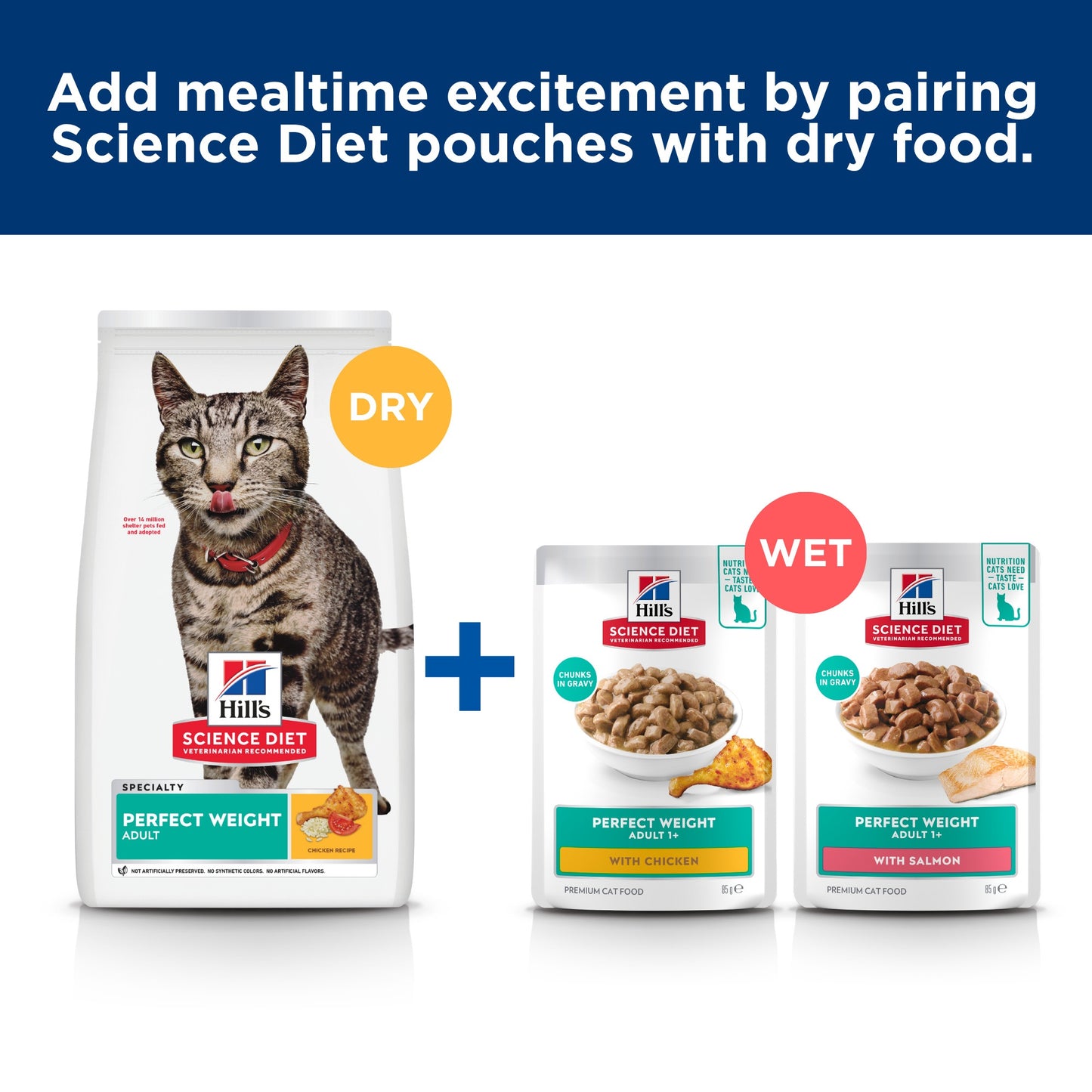 Hill's Science Diet Perfect Weight Adult Salmon Wet Food 85g