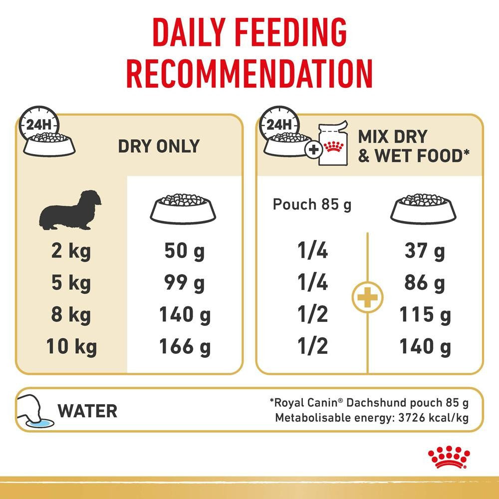 Royal Canin Dachshund Adult Dry & Wet Dog Food Bundle