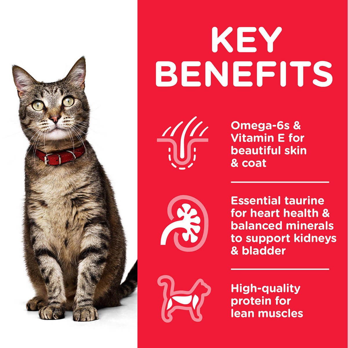 Hill's Science Diet Adult Chicken & Beef Wet Cat Food Bundle