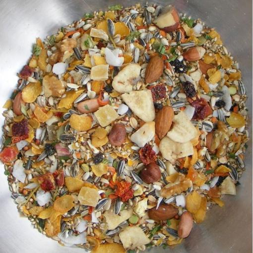 Medium Parrot Blend