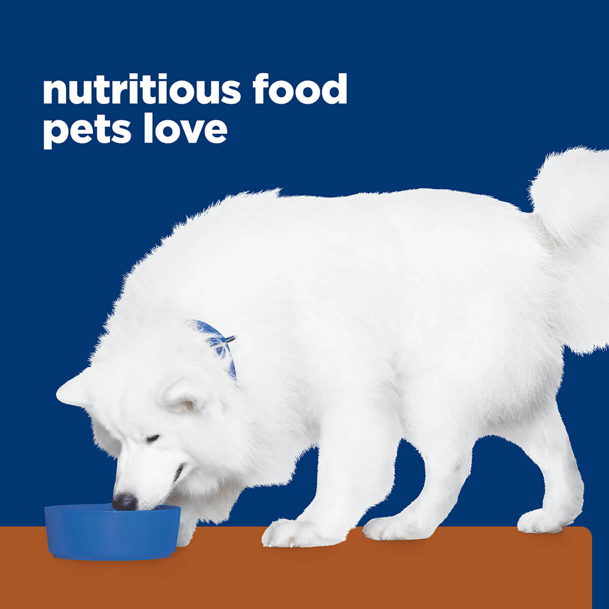 Hill's Prescription Diet K/D + J/D Kidney & Mobility Care Dry Dog Food