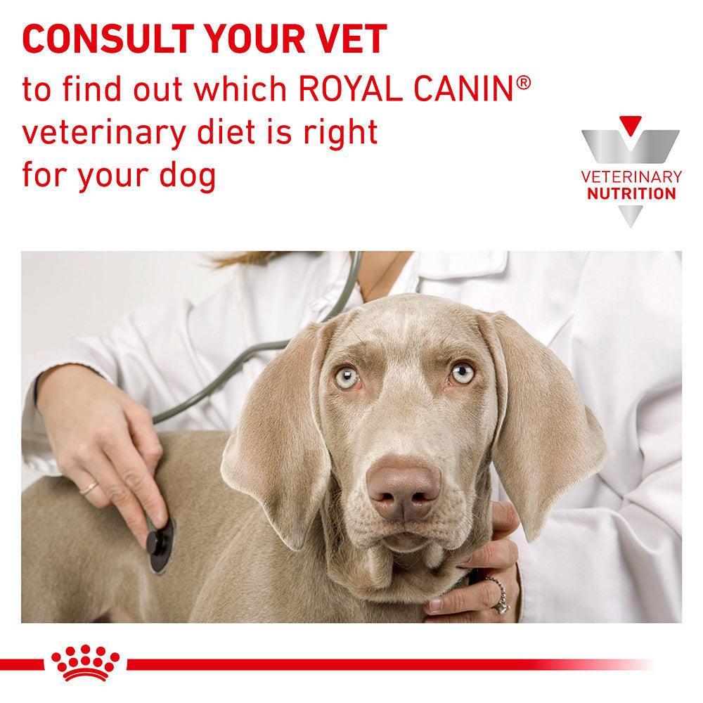 Royal Canin Veterinary Renal Dry Dog Food
