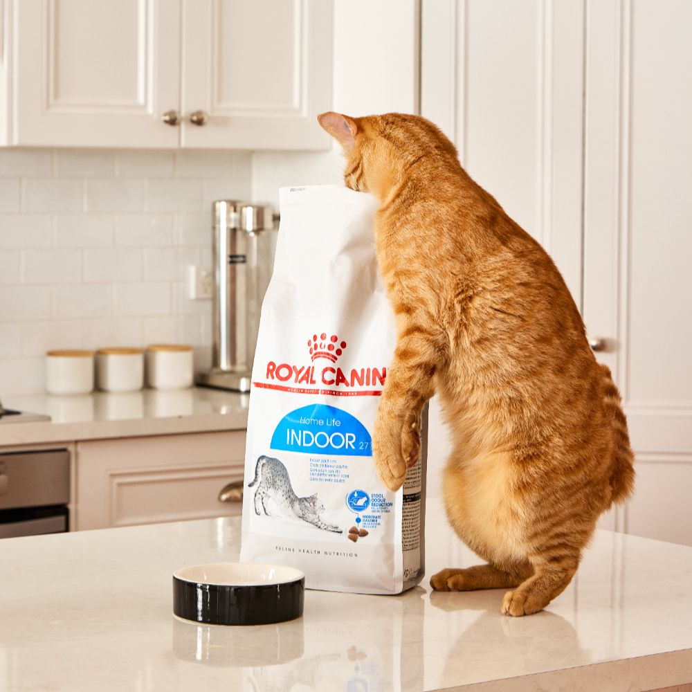 Royal Canin Indoor Adult Dry Cat Food