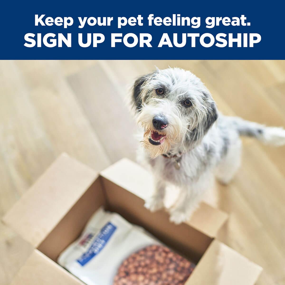 Hill's Prescription Diet W/D Multi-Benefit Dry Dog Food