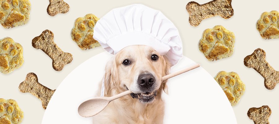 5 Homemade Dog Treat Recipes - PetPost Australia