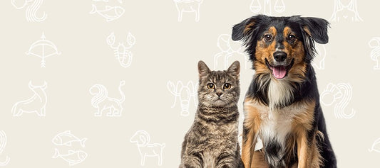 A Guide to Pet Zodiac Signs - PetPost Australia