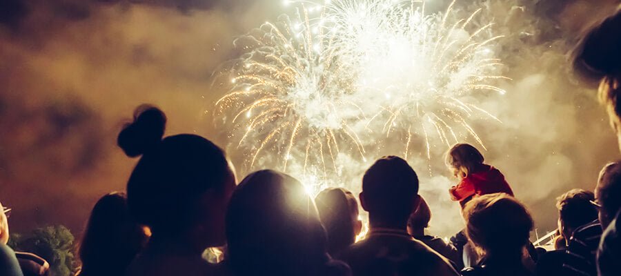 How to Calm a Dog Down After Fireworks - PetPost Australia