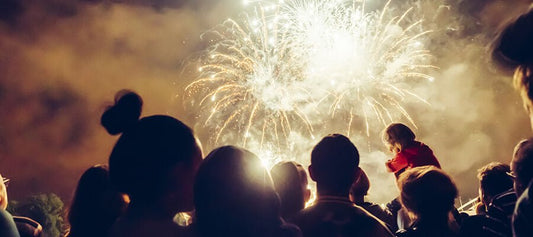 How to Calm a Dog Down After Fireworks - PetPost Australia