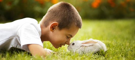 Pet Alternatives to Dogs and Cats - PetPost Australia