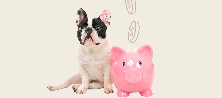 Pet Care On a Budget - PetPost Australia