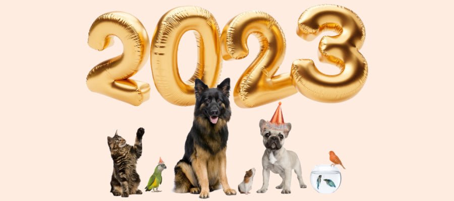 Your Pet’s New Year’s Resolutions - PetPost Australia