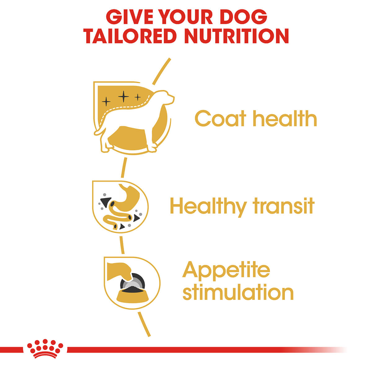 Royal Canin Chihuahua Adult Wet Dog Food