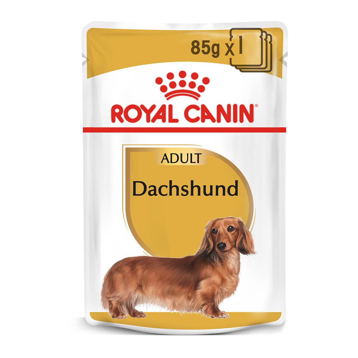 Royal Canin Dachshund Adult Wet Dog Food
